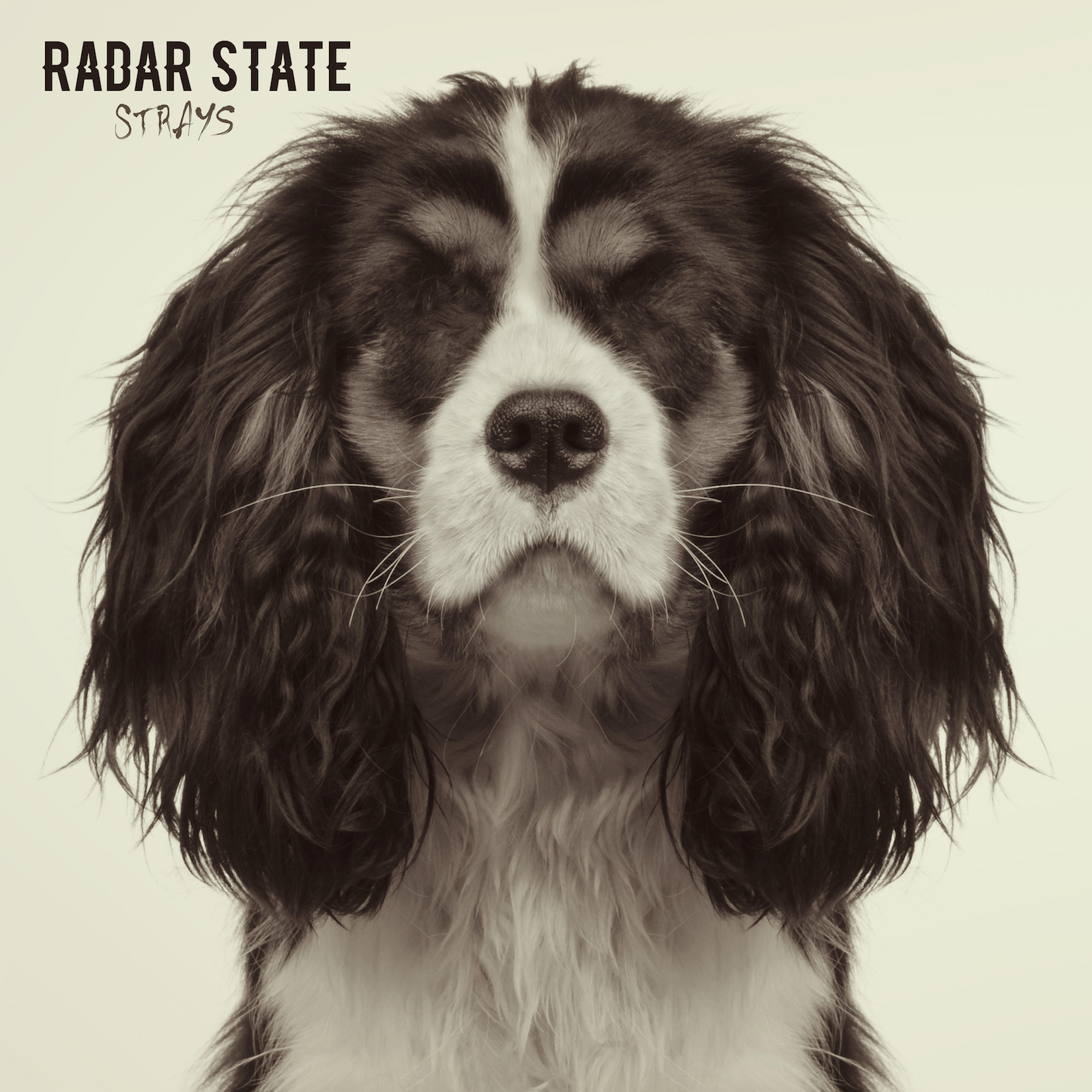 Radar State